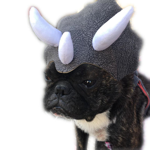 Pet Triceratops