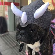 Pet Triceratops