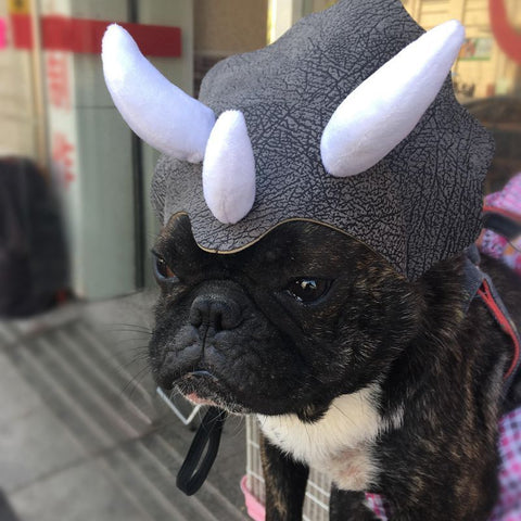 Pet Triceratops