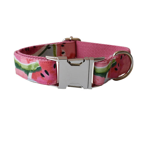 Pet Supplies
