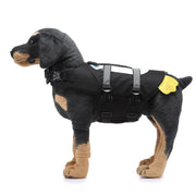 Dog Supplies