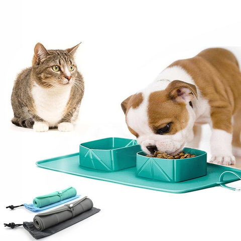 Pet Bowl Silicone