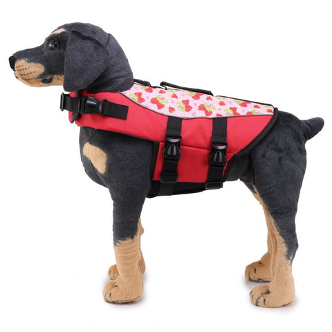 Dog Supplies