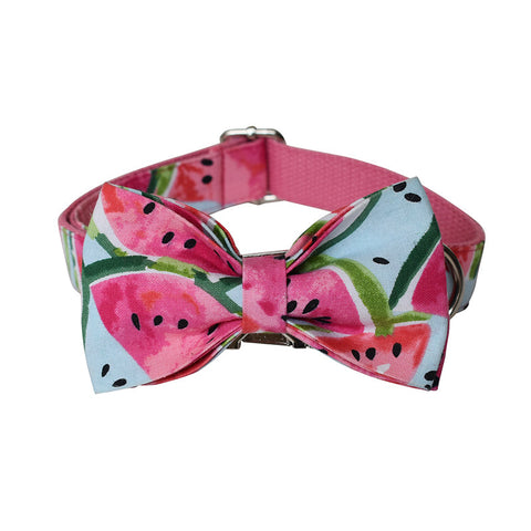Pet Supplies