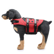 Dog Supplies