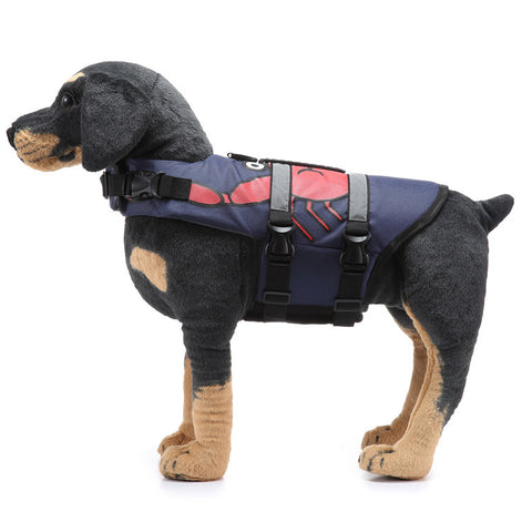 Dog Supplies