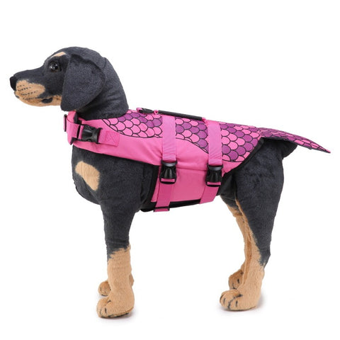 Dog Supplies